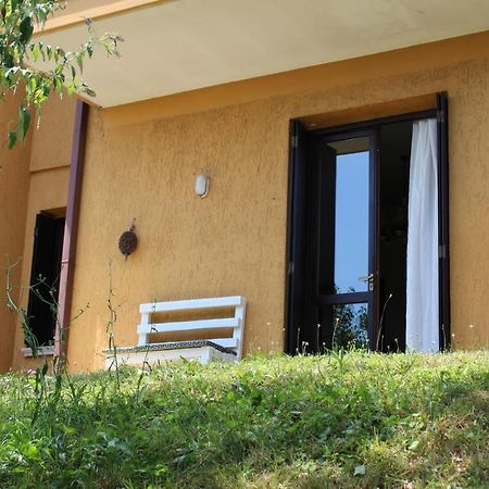 B&B Drusilla Garden Soiano Del Lago Eksteriør bilde