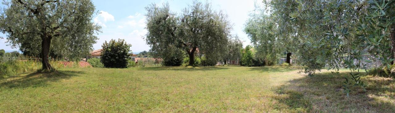B&B Drusilla Garden Soiano Del Lago Eksteriør bilde